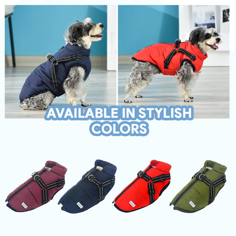 Dog Fleece Coat: back view on a dog