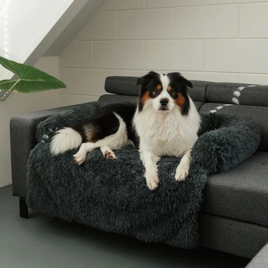 Plush Couch Cover: alternate color option