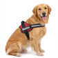 Custom No Pull Dog Harness: additional view 16