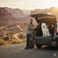 Premium Dog Car Seat Cover: alternate color option