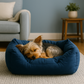 Cozy Pet Haven: inside view