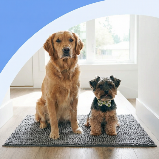 Messy Paws Mat: product overview