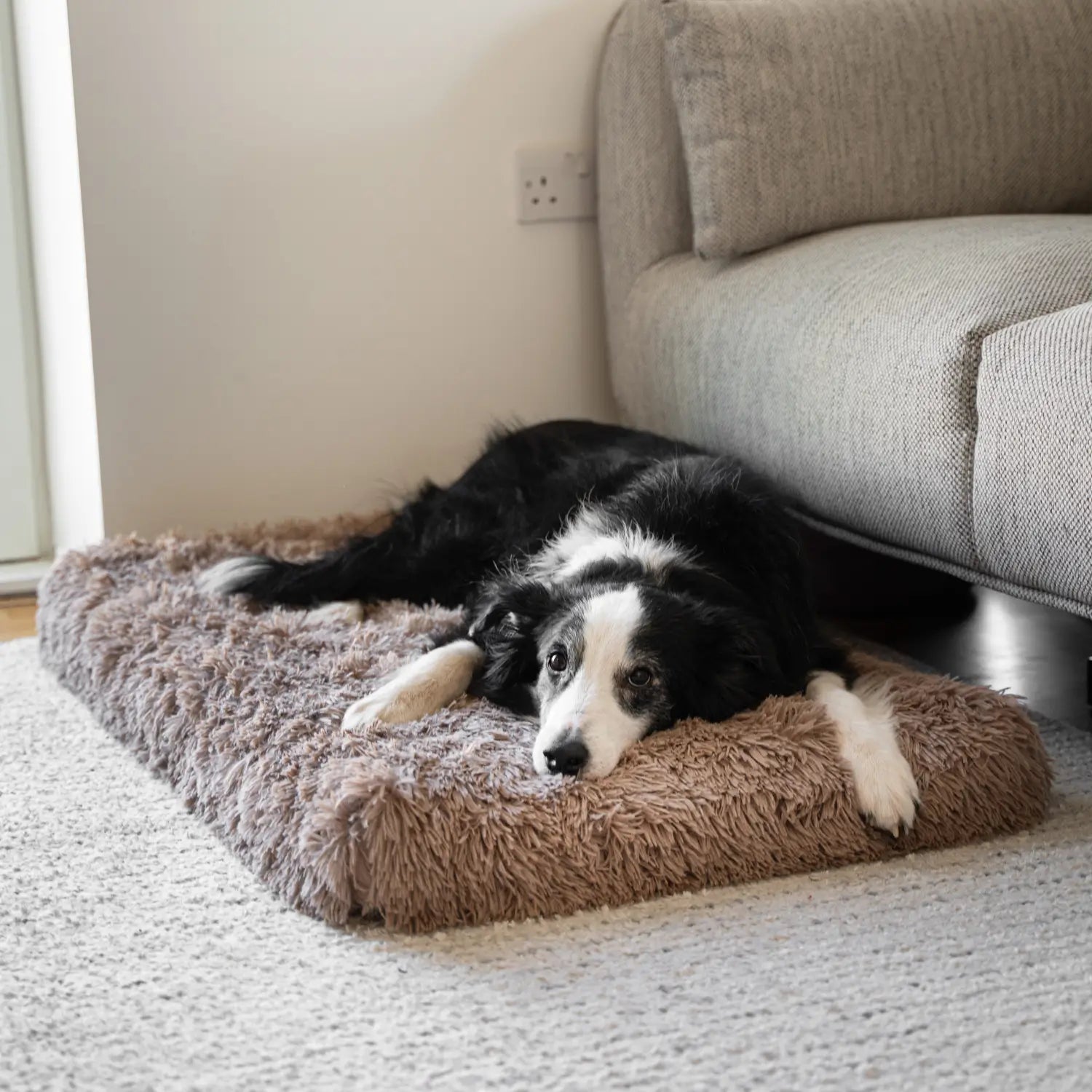 Orthopedic Memory Foam Dog Bed Pillow: dog resting on the bed