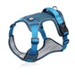 Premium Adventure Dog Harness: fit on a dog