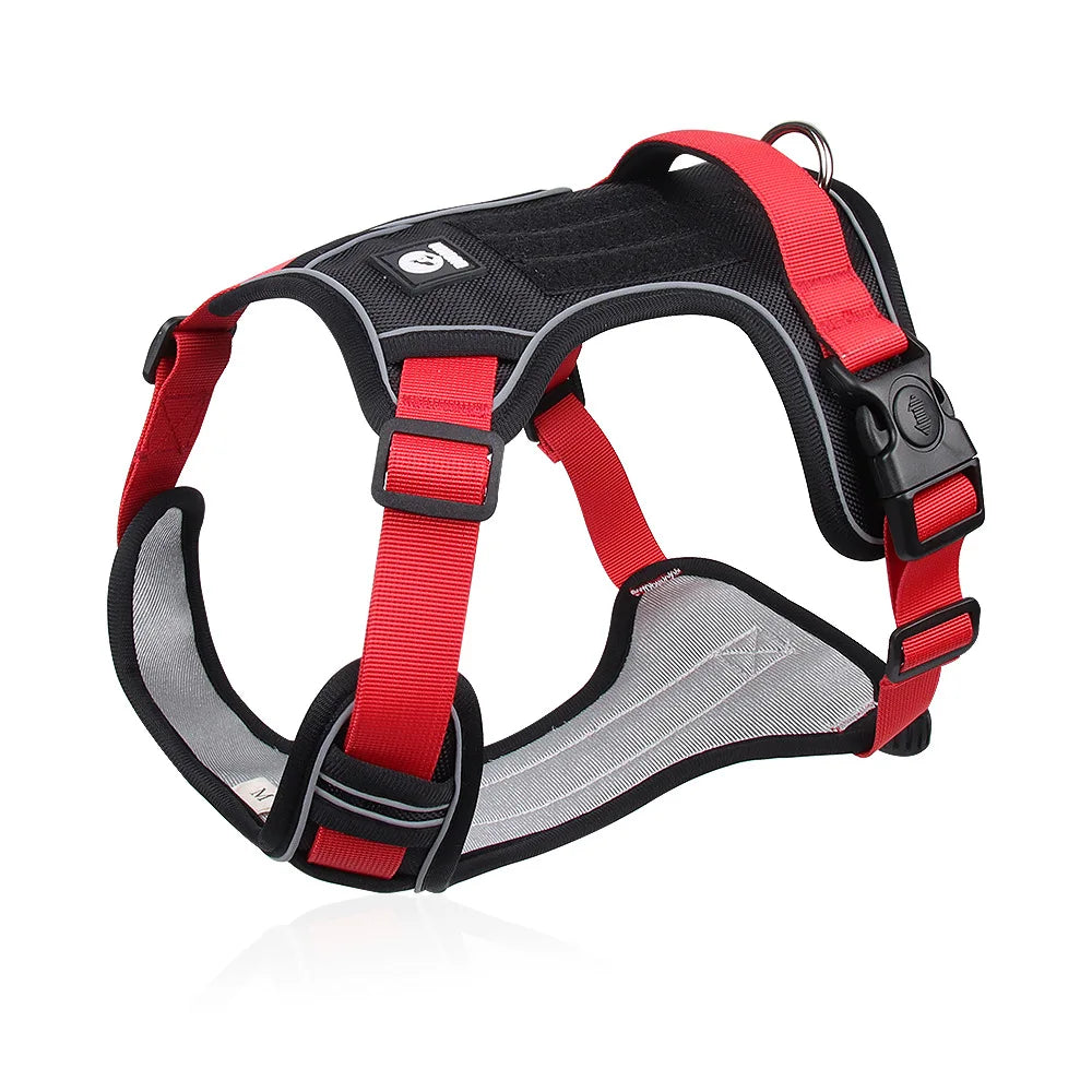 Premium Adventure Dog Harness: D-ring and leash attachment view
