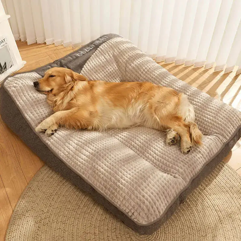 Calming Dog Cushion Bed: dog resting on the bed