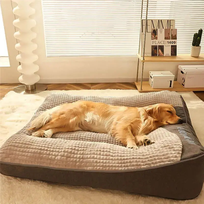 Calming Dog Cushion Bed: sizing reference next to a dog
