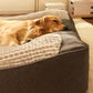 Calming Dog Cushion Bed: top-down view