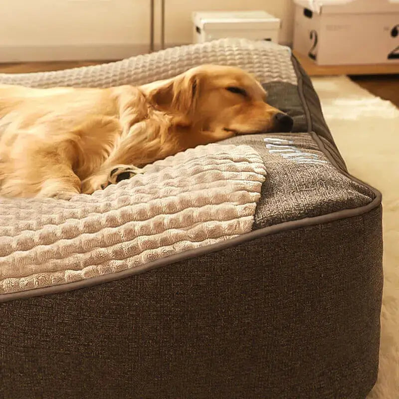 Calming Dog Cushion Bed: top-down view