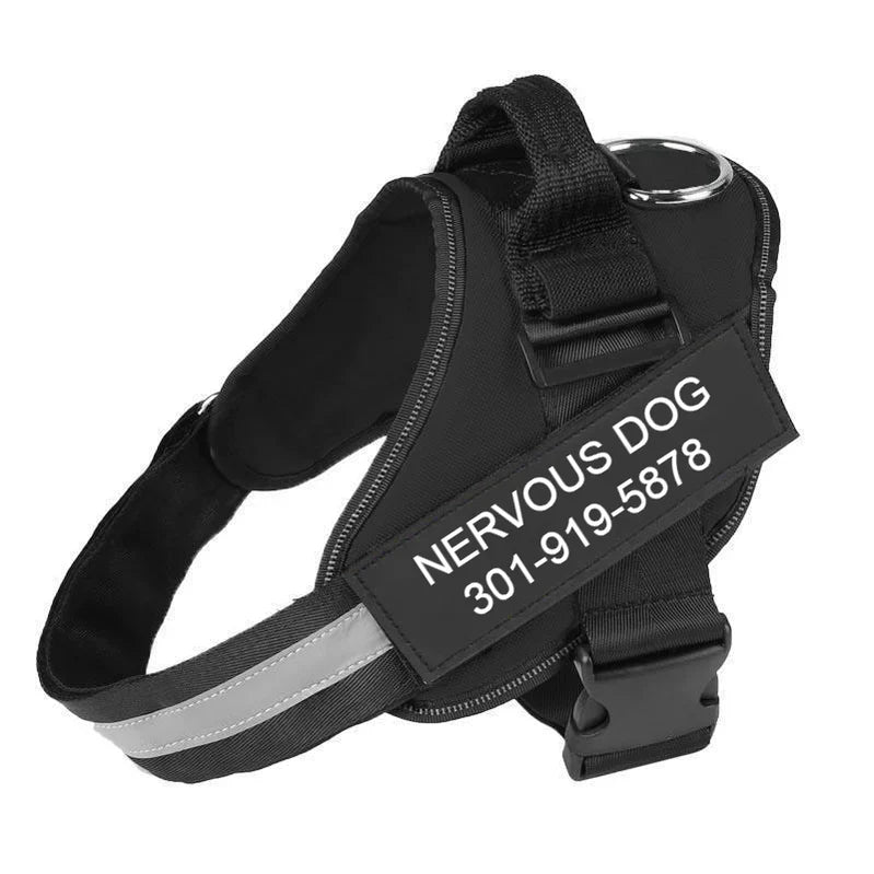 Custom No Pull Dog Harness: top handle close-up