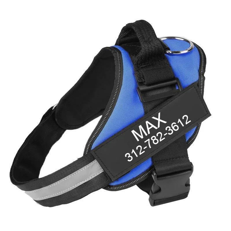 Custom No Pull Dog Harness: fit on a dog