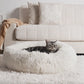 Calming Donut Cat Bed: sizing reference next to a dog