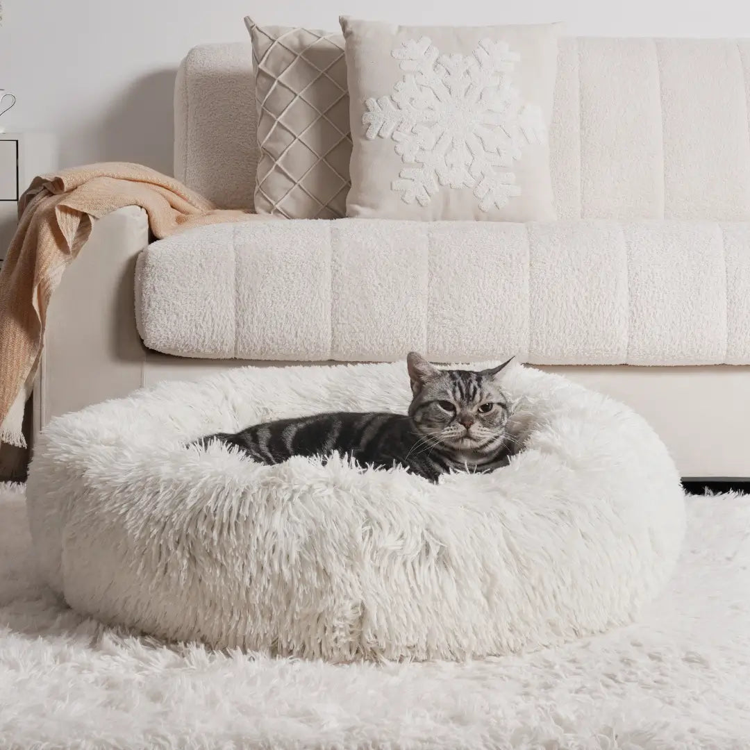 Calming Donut Cat Bed: sizing reference next to a dog