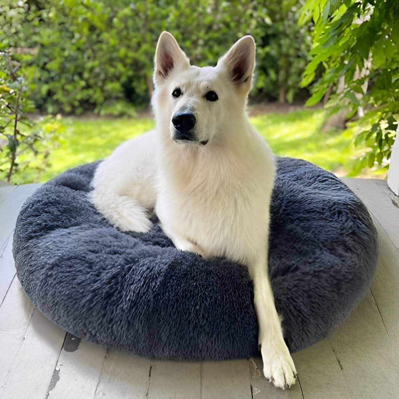 Calming Dog Bed: additional view 12