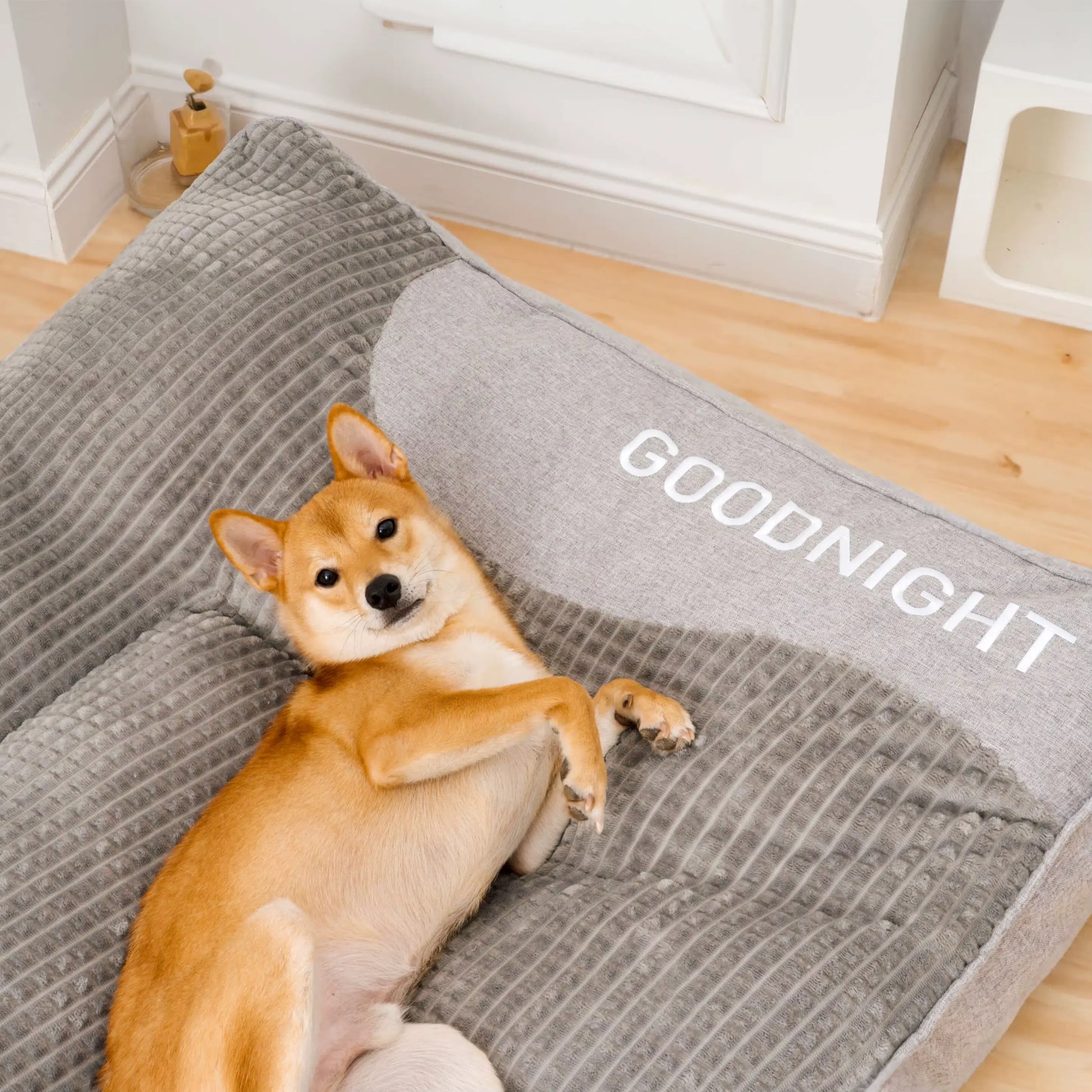 Calming Dog Cushion Bed: bed in a living room setting