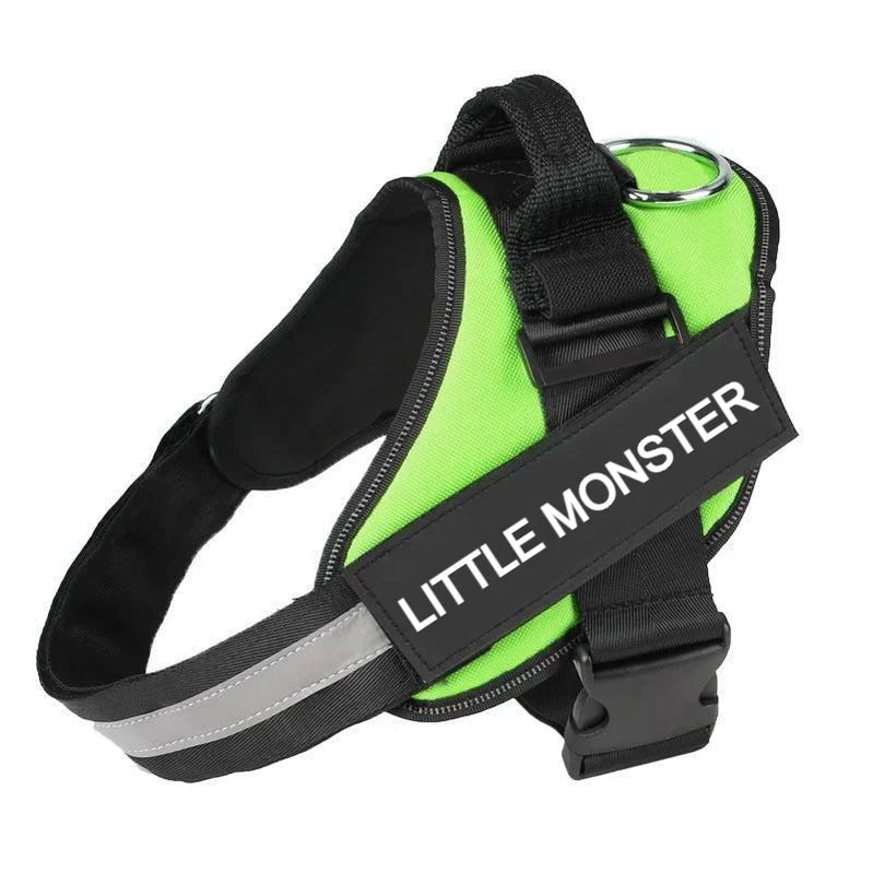 Custom No Pull Dog Harness: strap and buckle detail