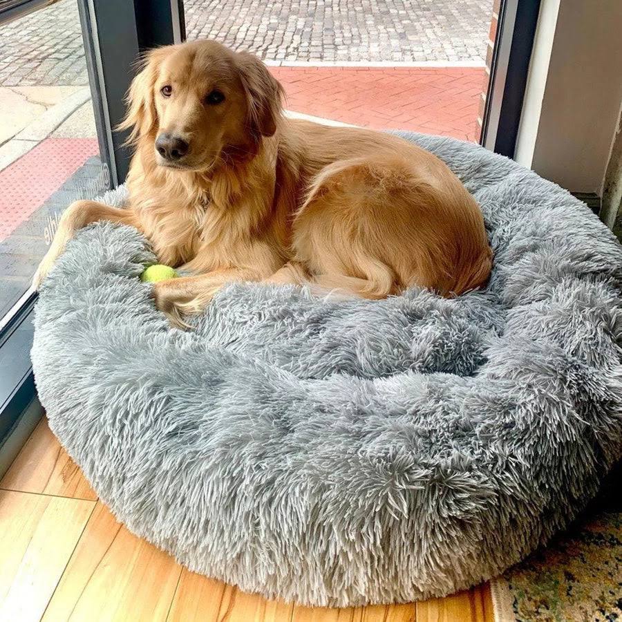 Calming Dog Bed: additional view 13