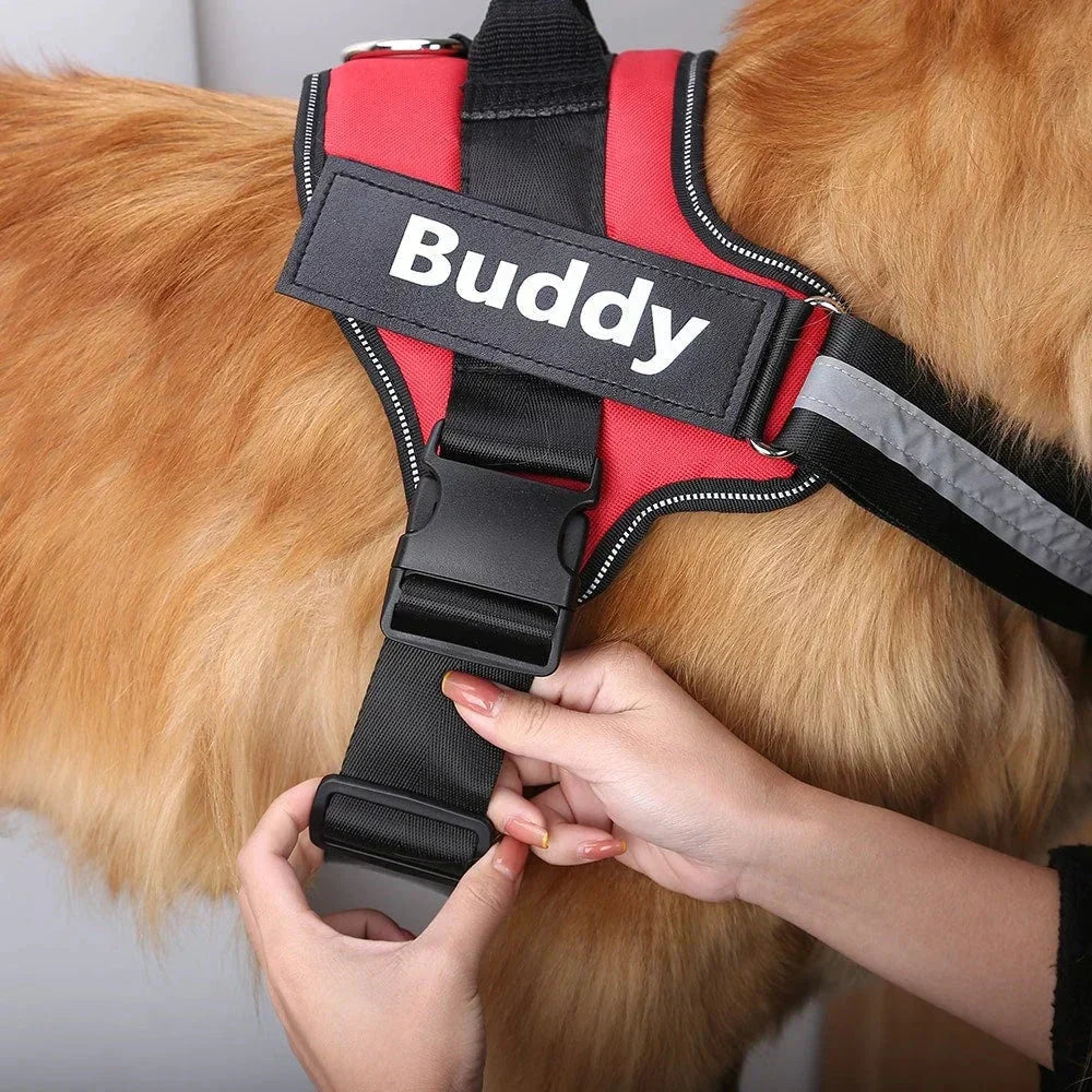 Custom No Pull Dog Harness: alternate color option