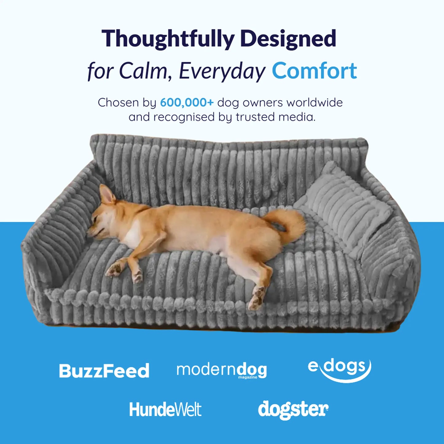 Orthopedic Washable Dog Sofa Bed: dog resting on the bed