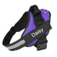 Custom No Pull Dog Harness: D-ring and leash attachment view
