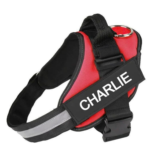 Custom No Pull Dog Harness: product overview
