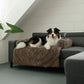 Plush Couch Cover: sizing reference next to a dog